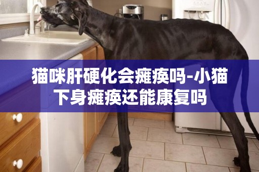 貓咪肝硬化會癱瘓嗎-小貓下身癱瘓還能康復嗎