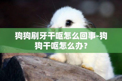 狗狗刷牙干嘔怎么回事-狗狗干嘔怎么辦？