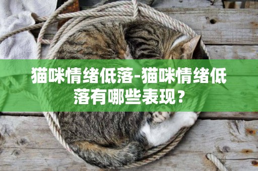 貓咪情緒低落-貓咪情緒低落有哪些表現？