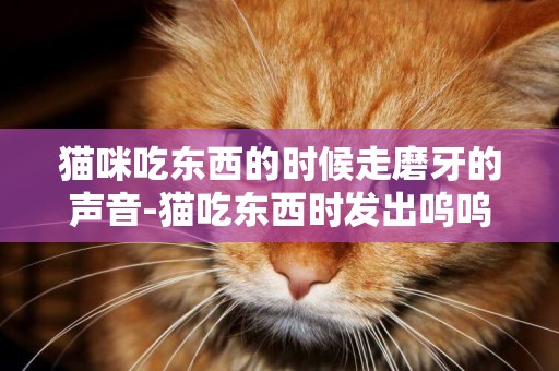 貓咪吃東西的時候走磨牙的聲音-貓吃東西時發出嗚嗚的聲音是怎么回事？