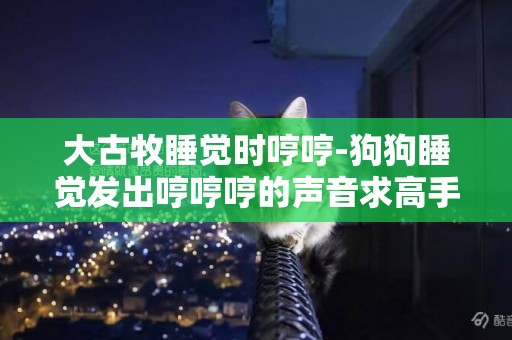 大古牧睡覺時哼哼-狗狗睡覺發出哼哼哼的聲音求高手指導