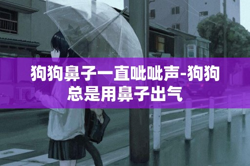 狗狗鼻子一直呲呲聲-狗狗總是用鼻子出氣