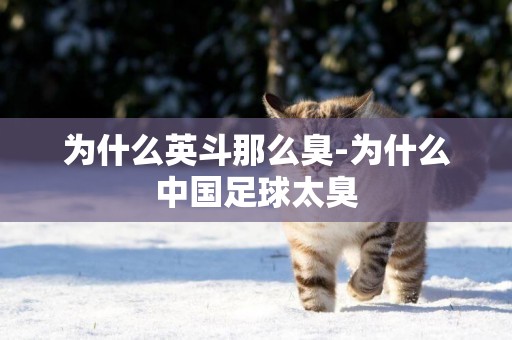 為什么英斗那么臭-為什么中國足球太臭