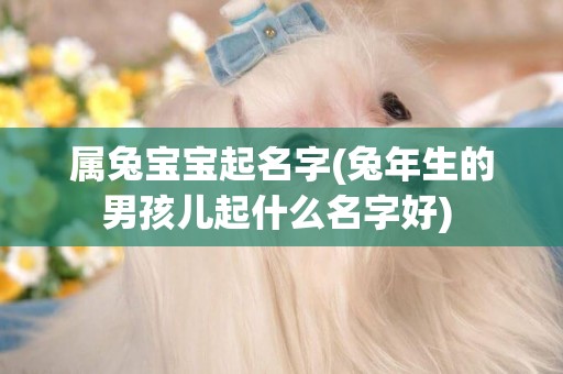 屬兔寶寶起名字(兔年生的男孩兒起什么名字好) 