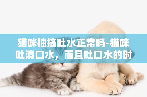 貓咪抽搐吐水正常嗎-貓咪吐清口水，而且吐口水的時候抽搐，這是怎么病啊？