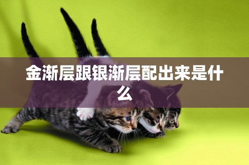 金漸層跟銀漸層配出來是什么