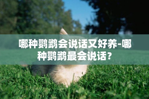 哪種鸚鵡會說話又好養-哪種鸚鵡最會說話？