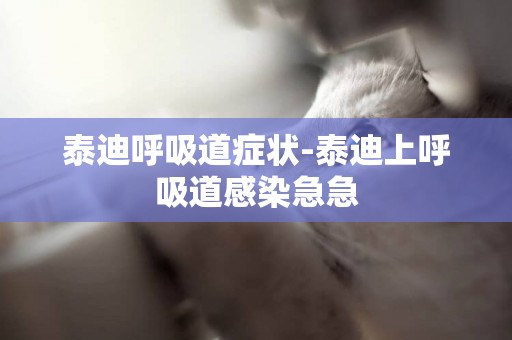 泰迪呼吸道癥狀-泰迪上呼吸道感染急急