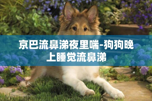 京巴流鼻涕夜里喘-狗狗晚上睡覺流鼻涕