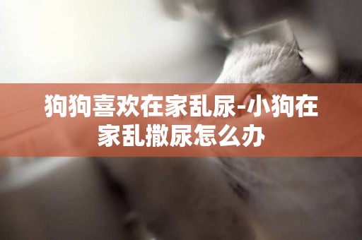 狗狗喜歡在家亂尿-小狗在家亂撒尿怎么辦