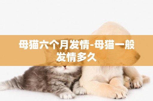 母貓六個月發情-母貓一般發情多久