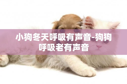 小狗冬天呼吸有聲音-狗狗呼吸老有聲音