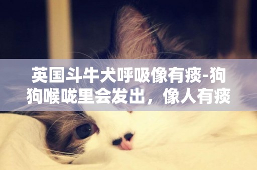 英國斗牛犬呼吸像有痰-狗狗喉嚨里會發出，像人有痰的聲音，要怎么辦？