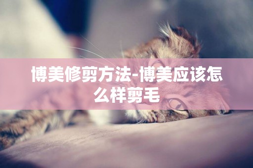 博美修剪方法-博美應該怎么樣剪毛