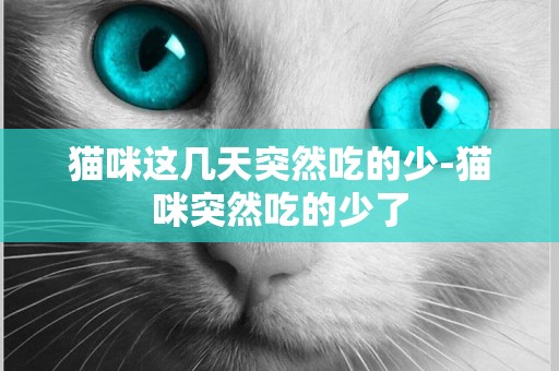 貓咪這幾天突然吃的少-貓咪突然吃的少了