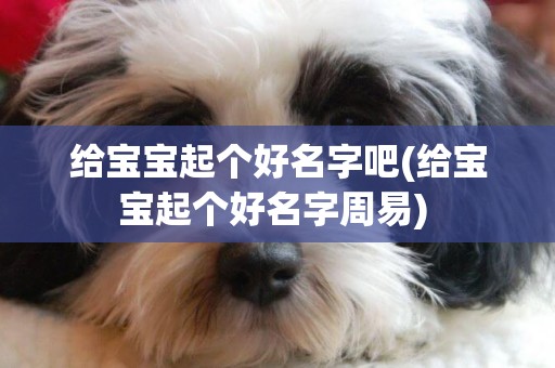 給寶寶起個好名字吧(給寶寶起個好名字周易) 