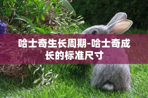 哈士奇生長周期-哈士奇成長的標準尺寸