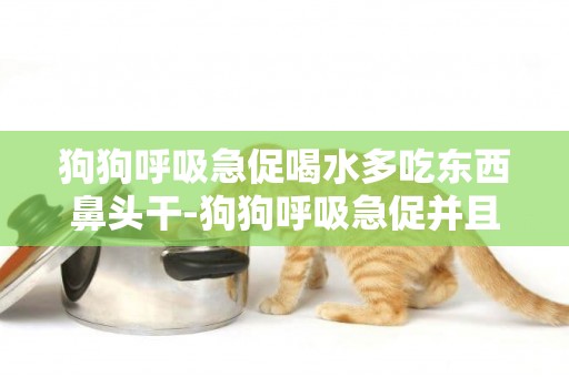 狗狗呼吸急促喝水多吃東西鼻頭干-狗狗呼吸急促并且鼻頭干也有點咳嗽怎么回事 求高手解答