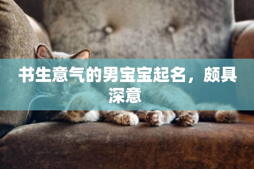 書生意氣的男寶寶起名，頗具深意 