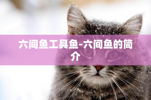 六間魚工具魚-六間魚的簡介