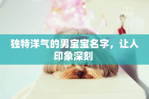 獨特洋氣的男寶寶名字，讓人印象深刻 