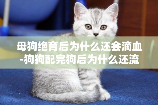 母狗絕育后為什么還會滴血-狗狗配完狗后為什么還流血啊