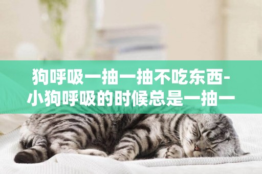 狗呼吸一抽一抽不吃東西-小狗呼吸的時候總是一抽一抽的，像哭過勁的那種抽.