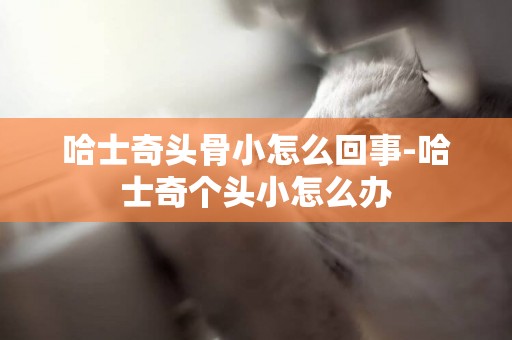 哈士奇頭骨小怎么回事-哈士奇個頭小怎么辦