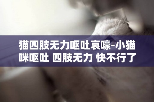 貓四肢無力嘔吐哀嚎-小貓咪嘔吐 四肢無力 快不行了 求好心人幫助