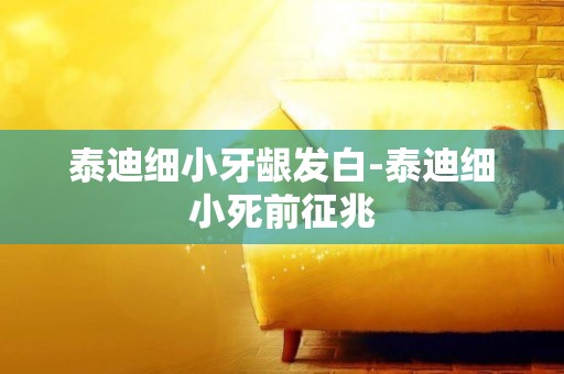 泰迪細小牙齦發白-泰迪細小死前征兆