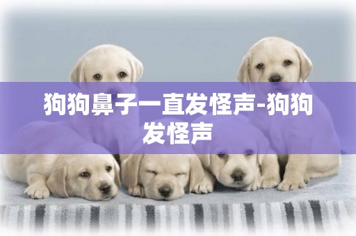 狗狗鼻子一直發怪聲-狗狗發怪聲