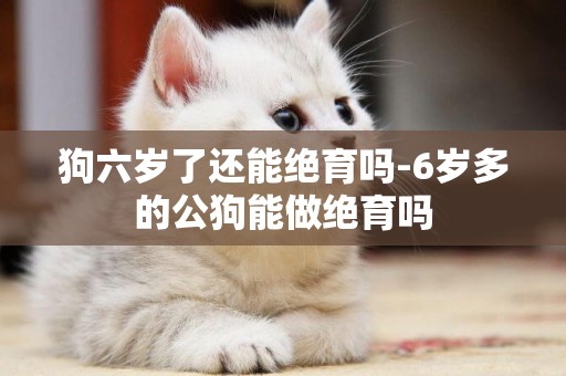 狗六歲了還能絕育嗎-6歲多的公狗能做絕育嗎