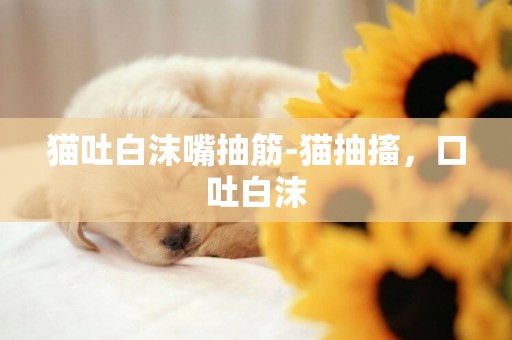 貓吐白沫嘴抽筋-貓抽搐，口吐白沫