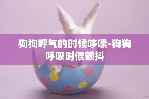 狗狗呼氣的時候哆嗦-狗狗呼吸時候顫抖