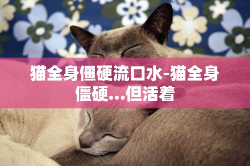 貓全身僵硬流口水-貓全身僵硬…但活著