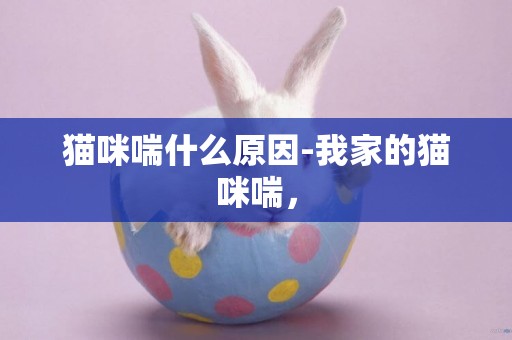 貓咪喘什么原因-我家的貓咪喘，