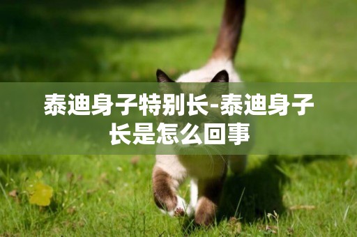 泰迪身子特別長-泰迪身子長是怎么回事