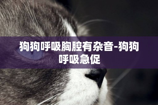 狗狗呼吸胸腔有雜音-狗狗呼吸急促