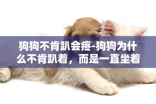 狗狗不肯趴會疼-狗狗為什么不肯趴著，而是一直坐著?