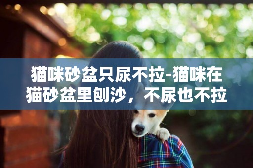 貓咪砂盆只尿不拉-貓咪在貓砂盆里刨沙，不尿也不拉。