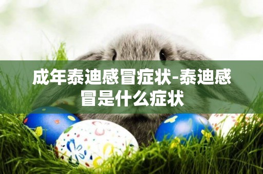 成年泰迪感冒癥狀-泰迪感冒是什么癥狀