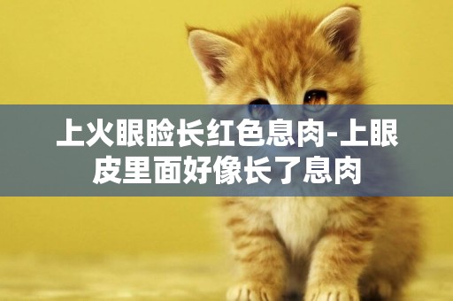 上火眼瞼長紅色息肉-上眼皮里面好像長了息肉