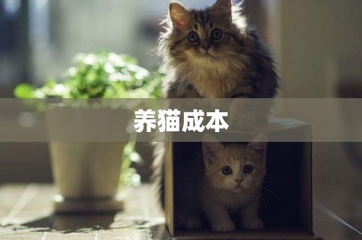 養貓成本