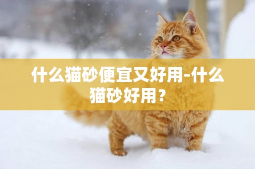 什么貓砂便宜又好用-什么貓砂好用？