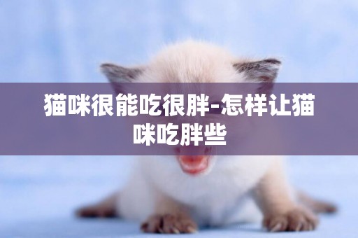 貓咪很能吃很胖-怎樣讓貓咪吃胖些