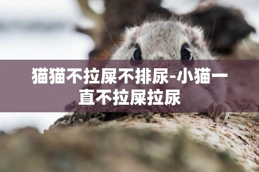 貓貓不拉屎不排尿-小貓一直不拉屎拉尿
