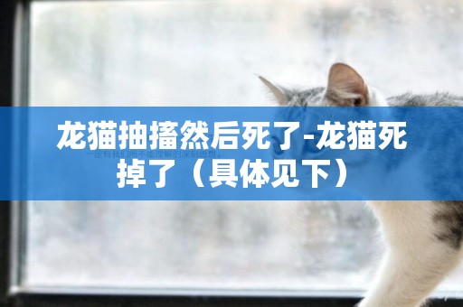 龍貓抽搐然后死了-龍貓死掉了（具體見下）