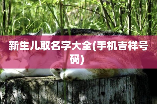 新生兒取名字大全(手機吉祥號碼) 