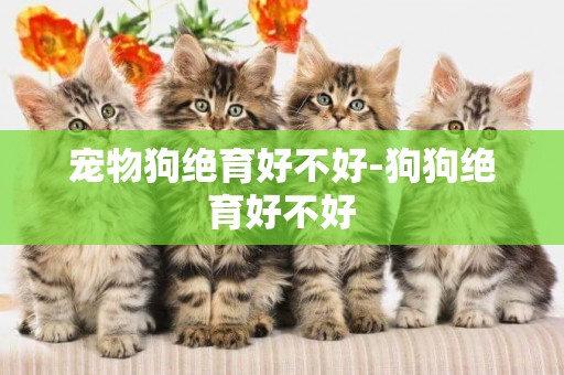 寵物狗絕育好不好-狗狗絕育好不好