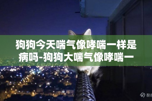 狗狗今天喘氣像哮喘一樣是病嗎-狗狗大喘氣像哮喘一樣
